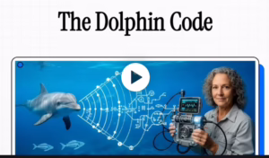 Decoding the Dolphin Code